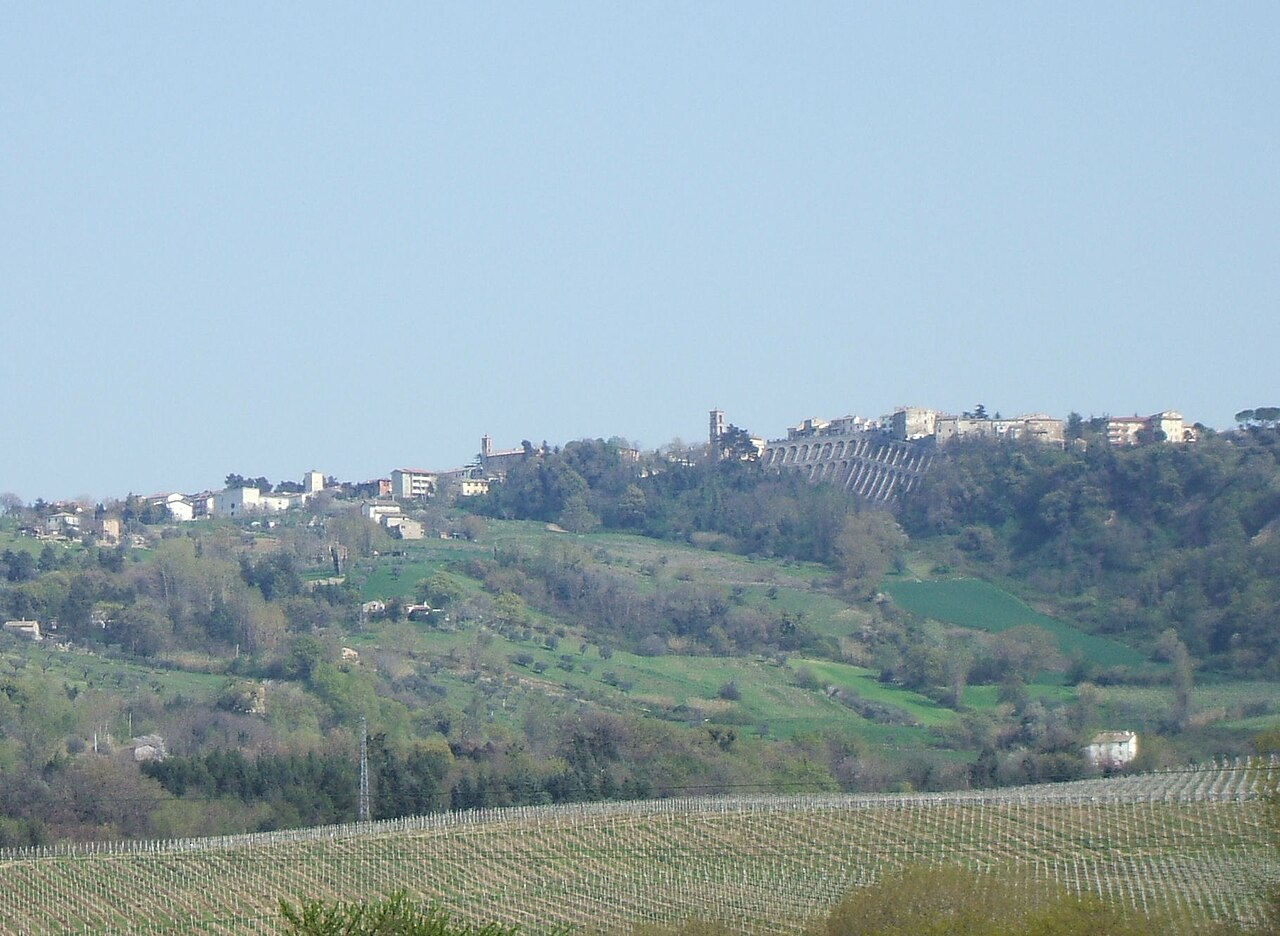 Maiolati Spontini: incendio doloso distrugge area equestre