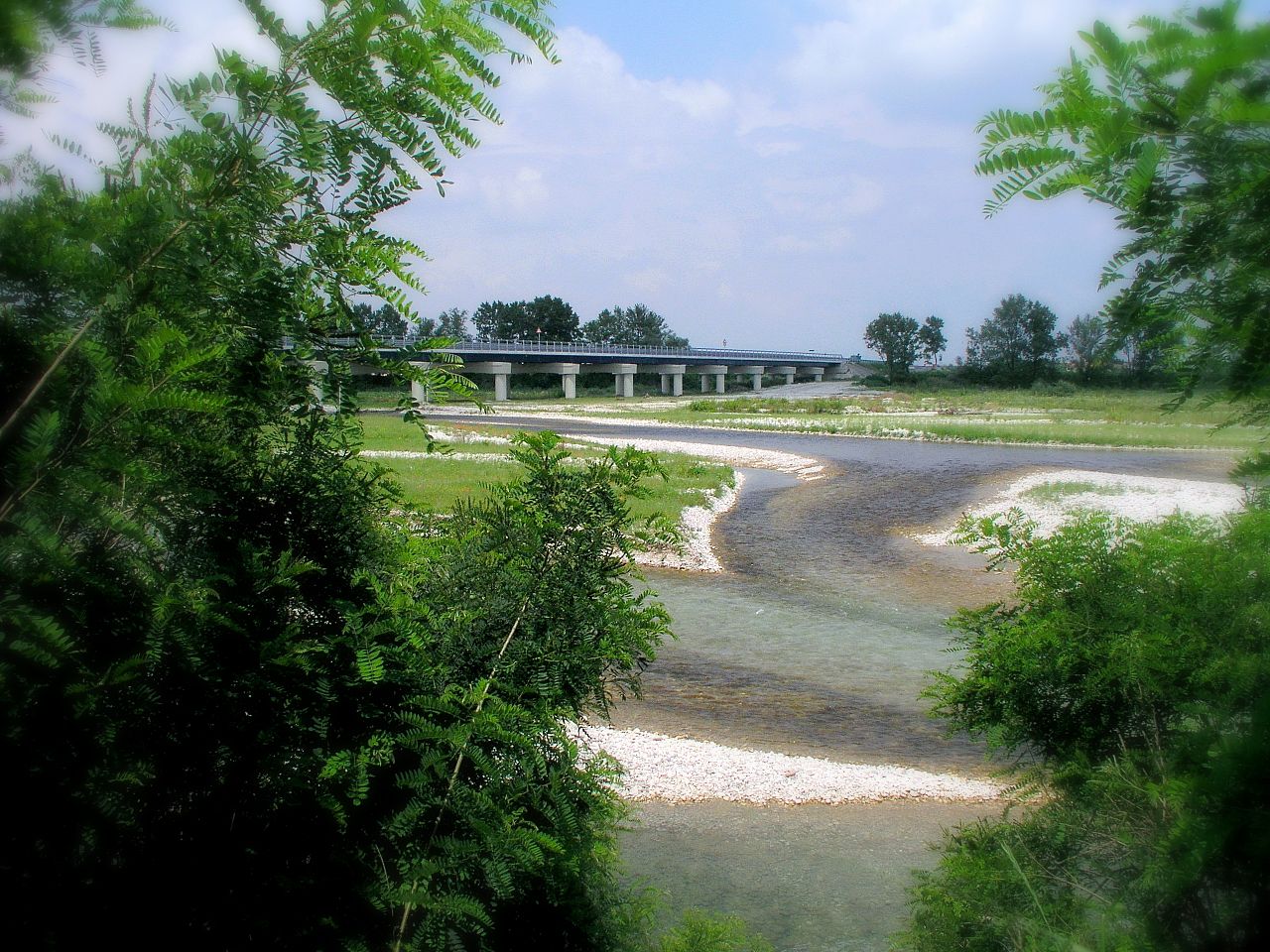 Maserada: Gare di Obedience in Video alla "Raggio di Sole"