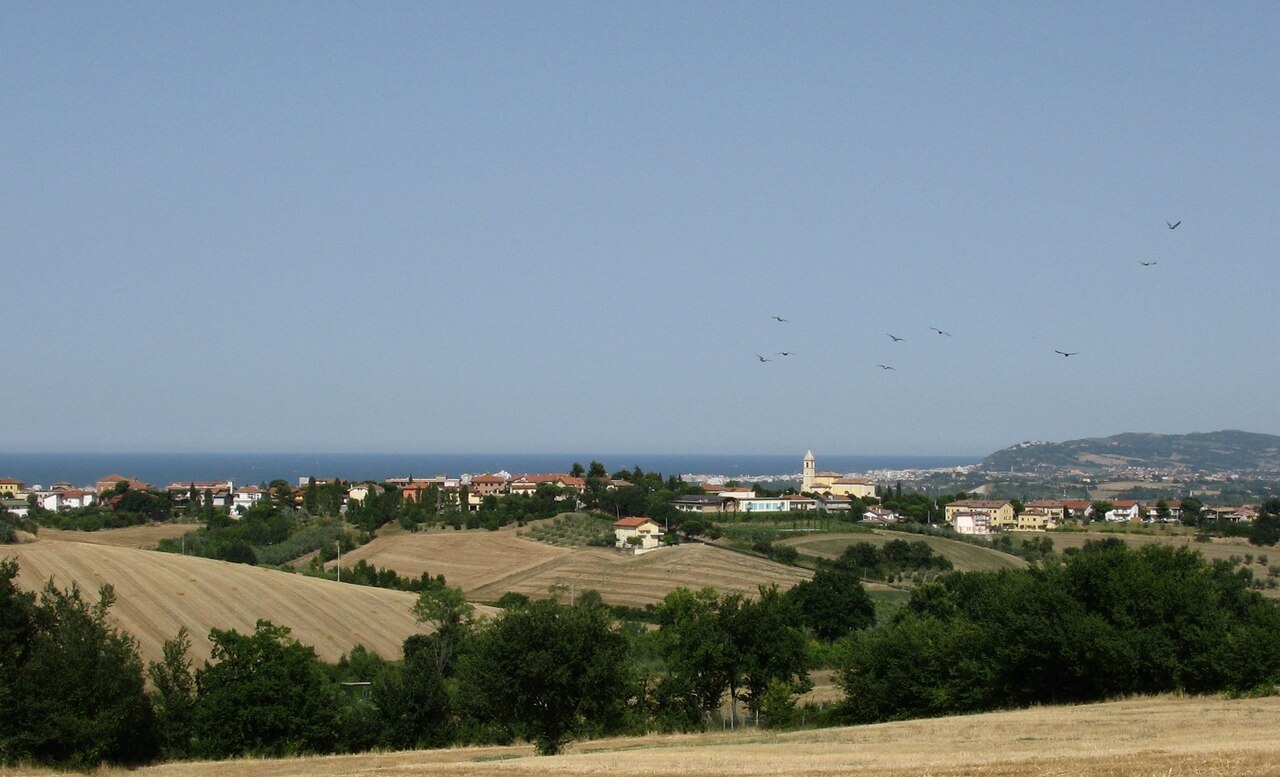 Misano: Annullata festa per lutto, muore 13enne