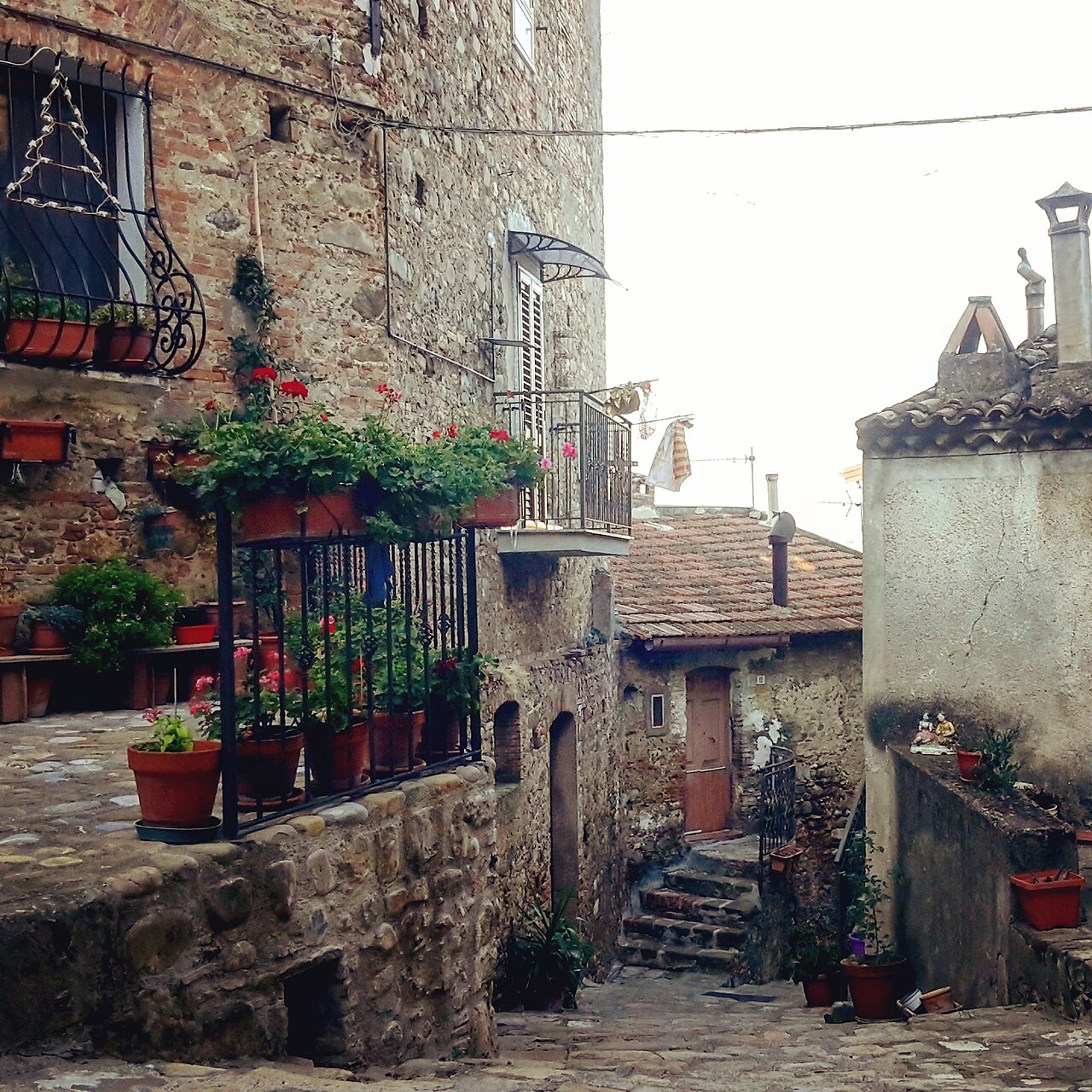 Basilicata: Ritorno della Cicogna Nera, un Evento da Non Perdere