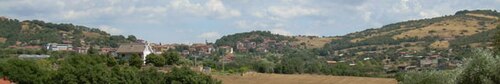 Referendum Giustizia: il "Sì" trionfa in Tuscia con il 55,95%