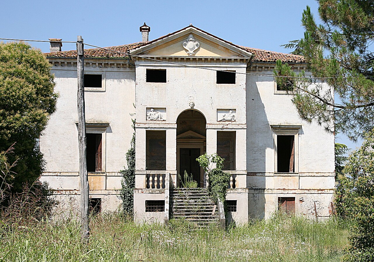 Avvistato lupo tra Villaverla e Montecchio Precalcino