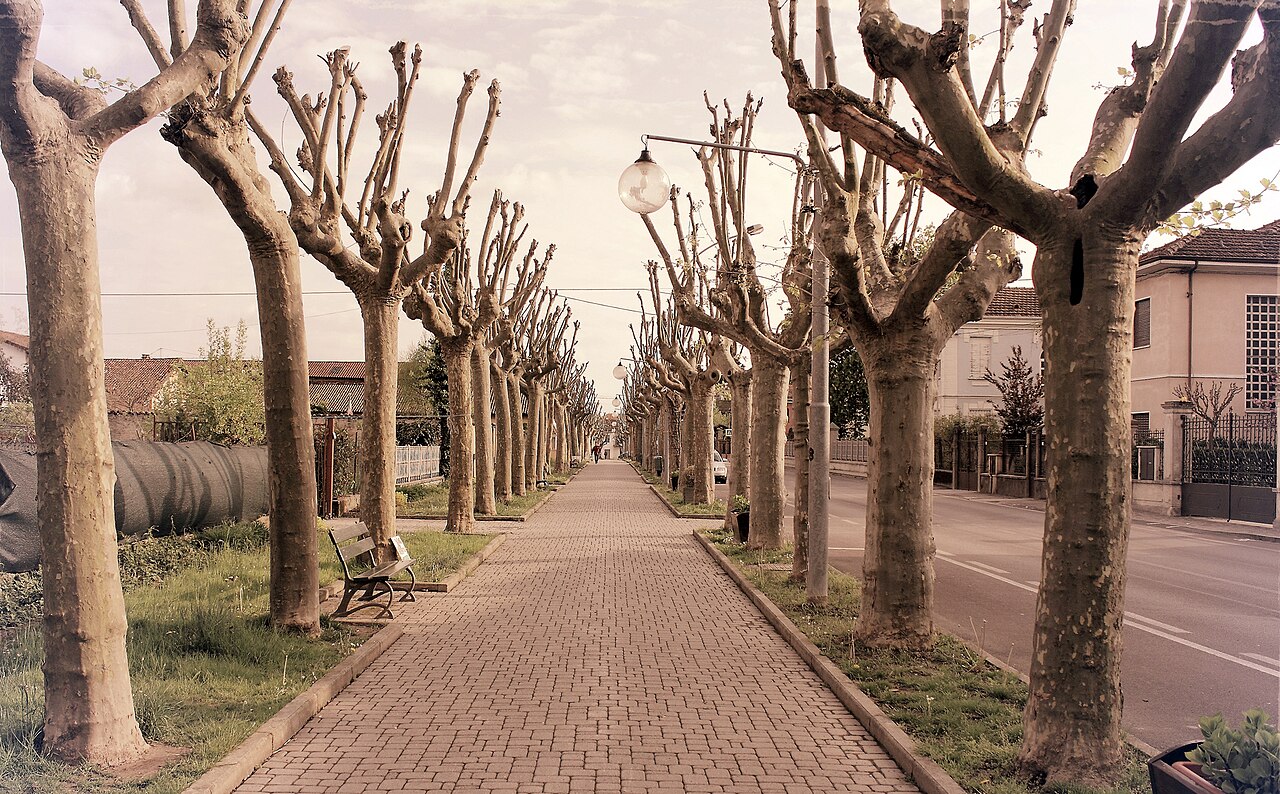 Smottamento su SP 3: strada chiusa tra Bene Vagienna e Narzole