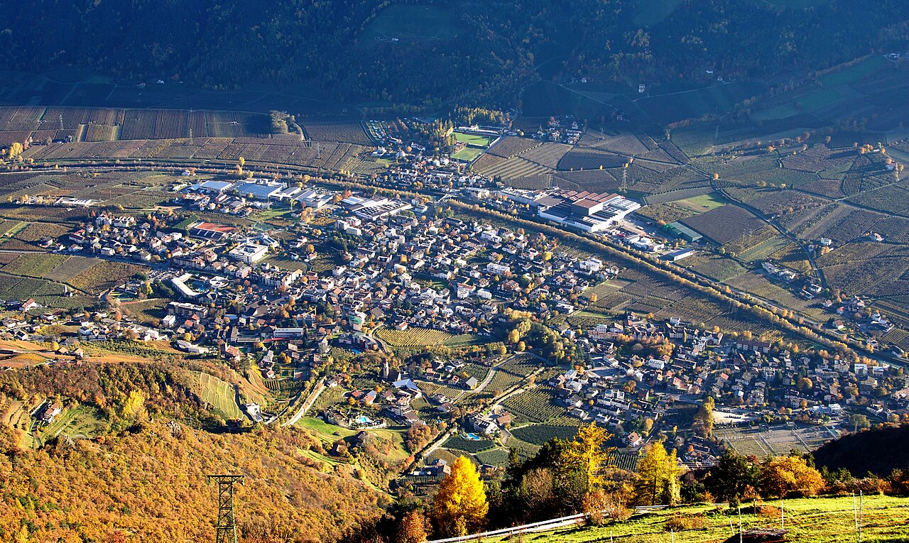 Trentino: la fragilità dei gipeti durante la nidificazione