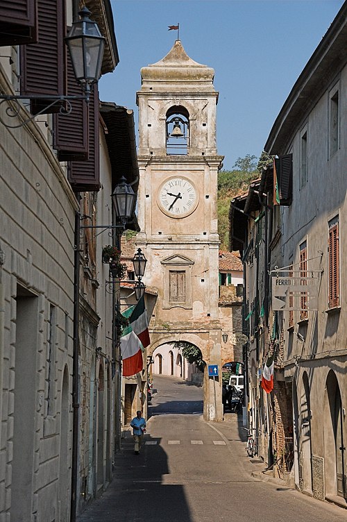 Palaia: volpi avvistate vicino alle case, l'appello del Comune