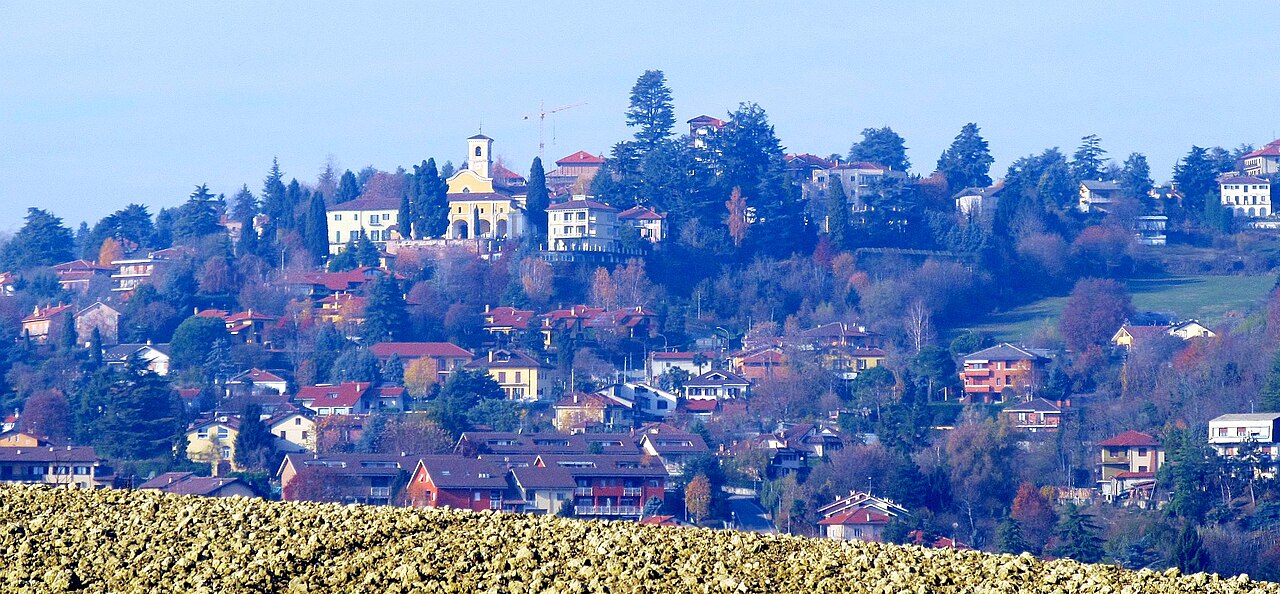 Pino Torinese: sbocciano oltre 100mila tulipani per la primavera