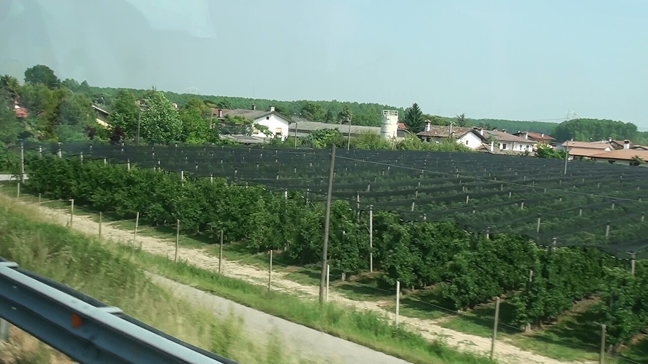 Torsa di Pocenia: lutto per la scomparsa di Matteo Nardini a 47 anni
