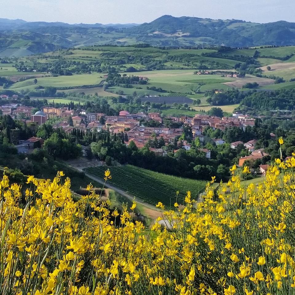 Alluvione Romagna 2023: Commissione d'inchiesta in sopralluogo