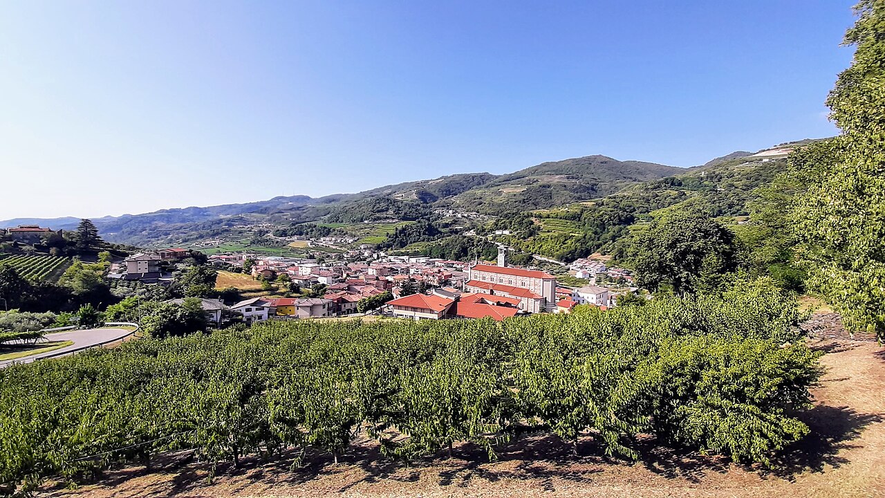Truffe, incontro pubblico a San Giovanni Ilarione