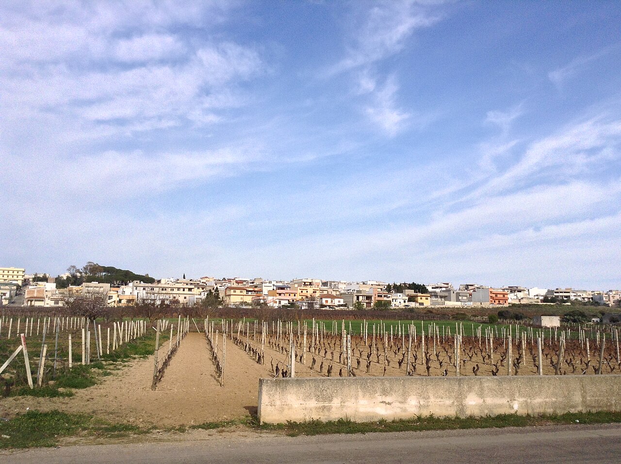 San Marzano: 40 kg di rifiuti rimossi dal Santuario