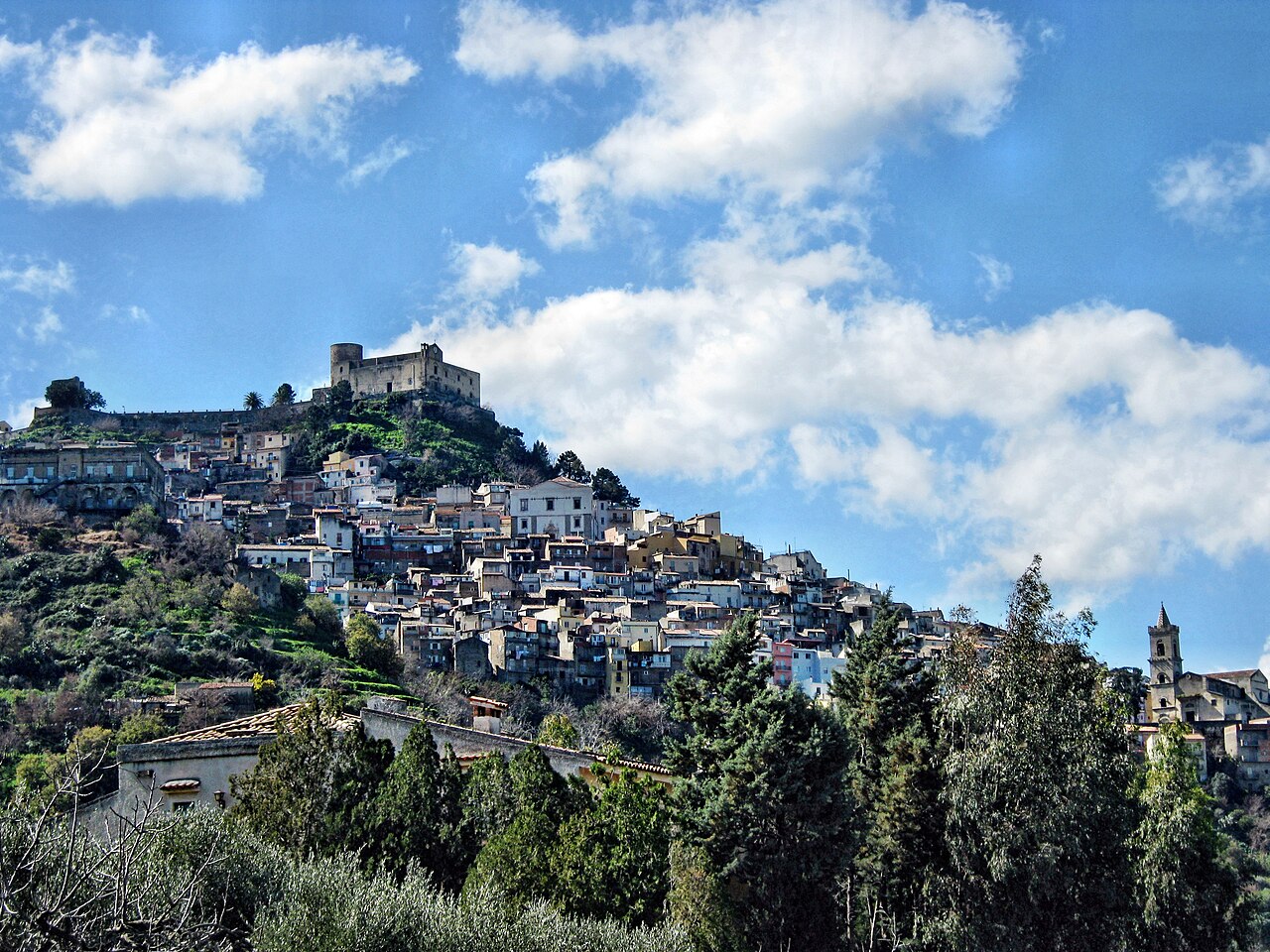 Santa Lucia del Mela: martora liberata da trappola illegale