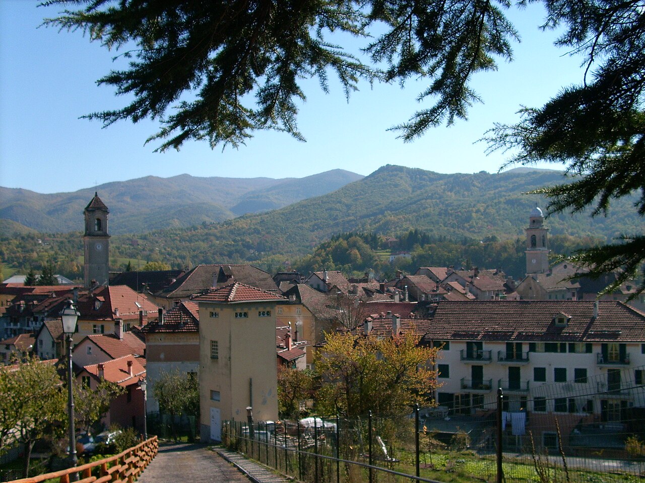 Liguria: 4 nuovi casi di peste suina su cinghiali