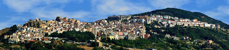 Basilicata: Ritorno della Cicogna Nera, via alla Stagione Riproduttiva