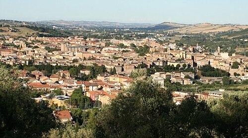 Marche: Riforma Giustizia, Agricoltura in Crisi, Sport e Cultura in Primo Piano