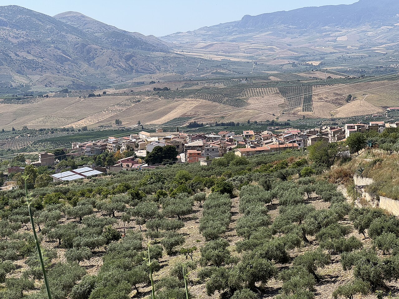 Elezioni Amministrative Sicilia: 71 Comuni al Voto il 24-25 Maggio