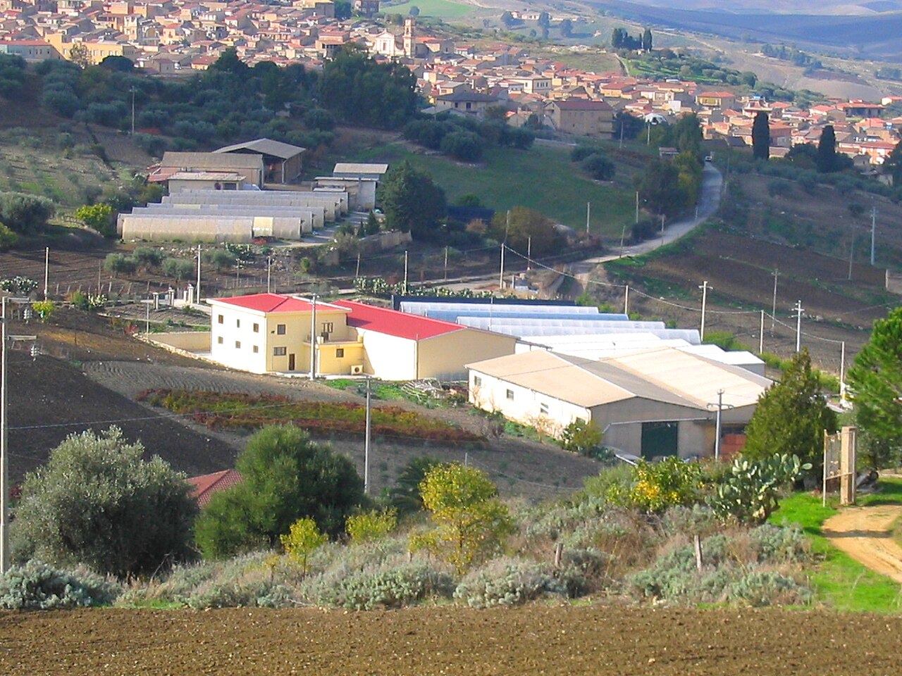 Elezioni Amministrative Sicilia: 71 Comuni al Voto il 24-25 Maggio
