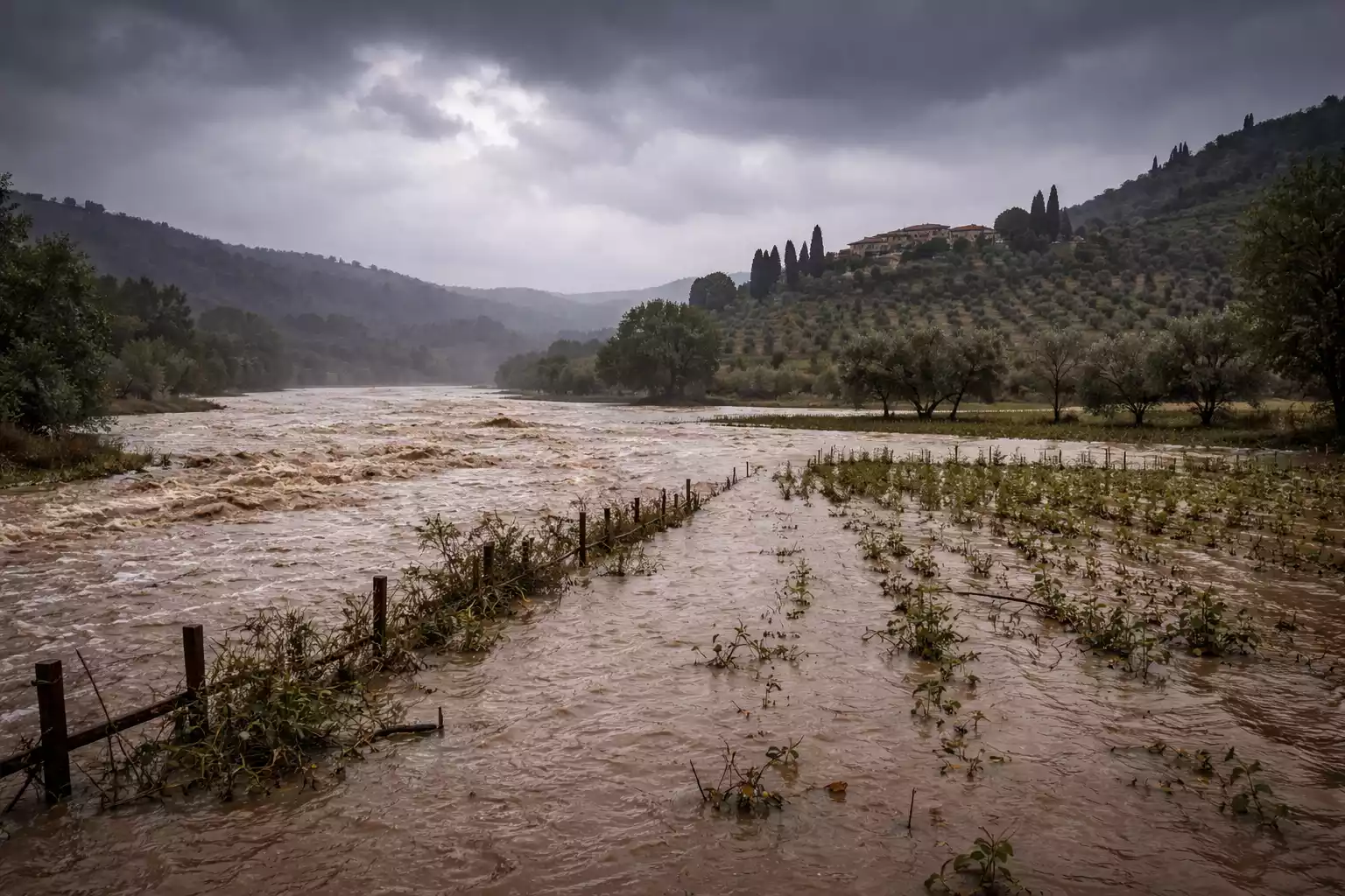 Maltempo devasta campi nel Materano: Coldiretti chiede aiuti