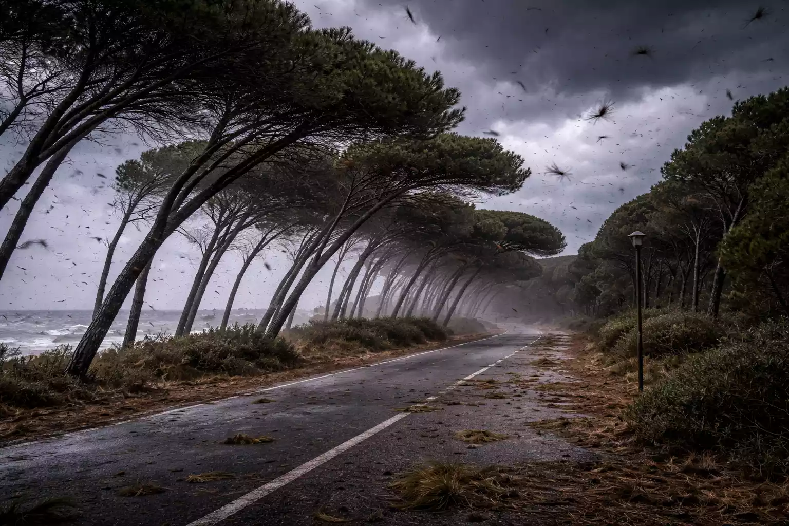 Bari, pannelli volano nel campus universitario per il vento