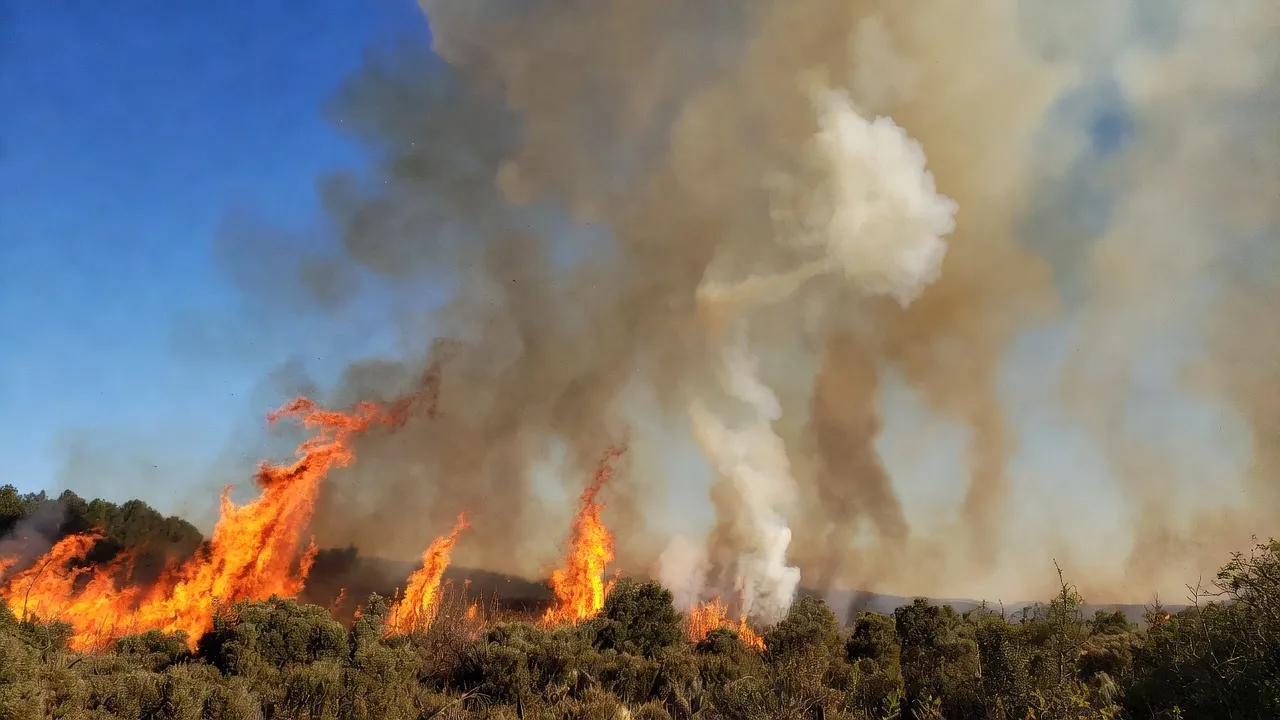 Molise: Neve imbianca l'Altomolise, 30 cm a Capracotta