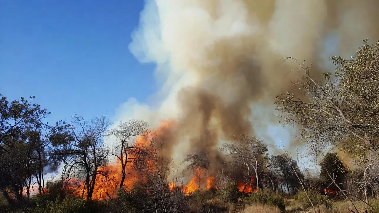 Molise: Neve imbianca l'Altomolise, 30 cm a Capracotta