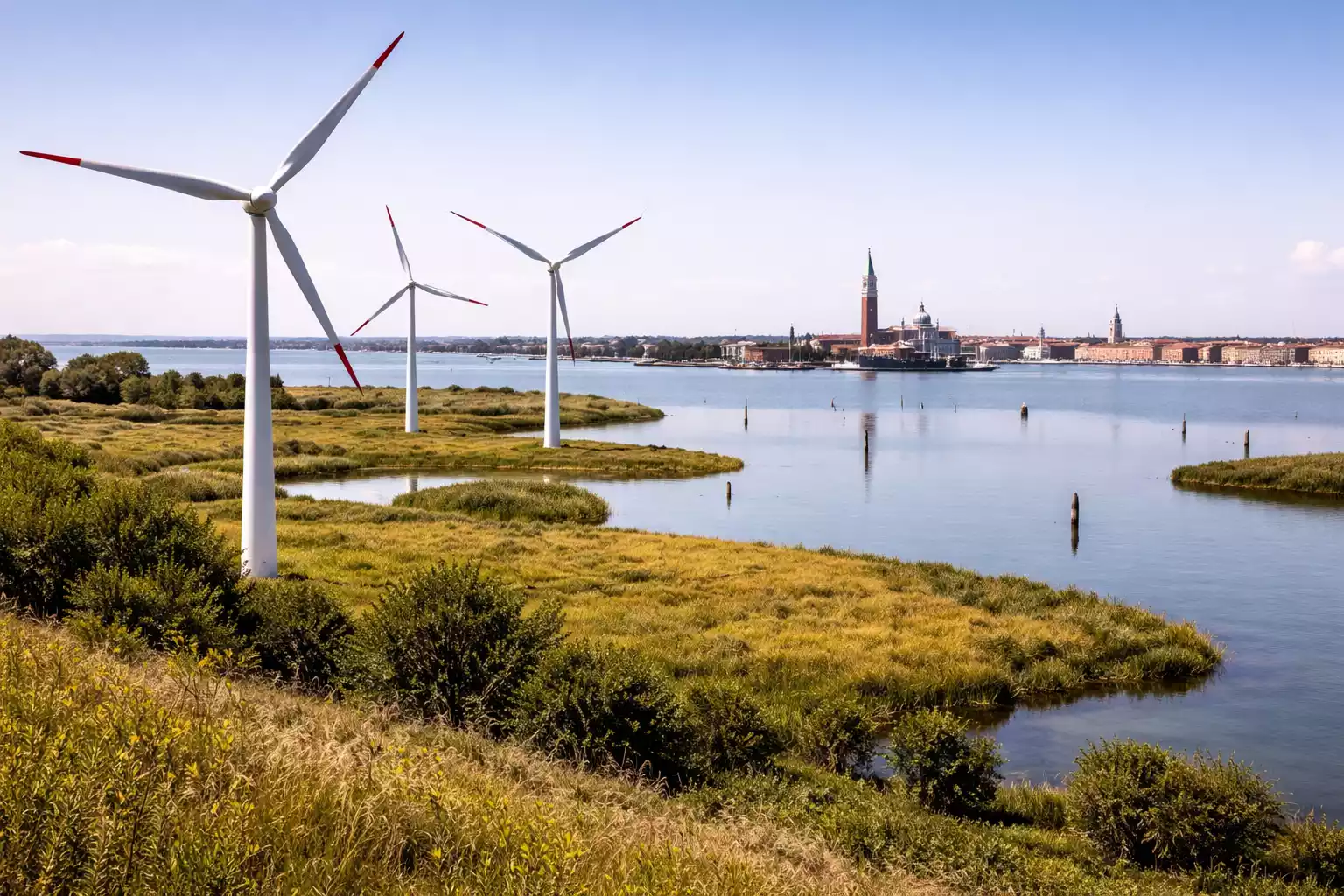 Vivara: Rosalia Santoro alla guida del comitato di gestione