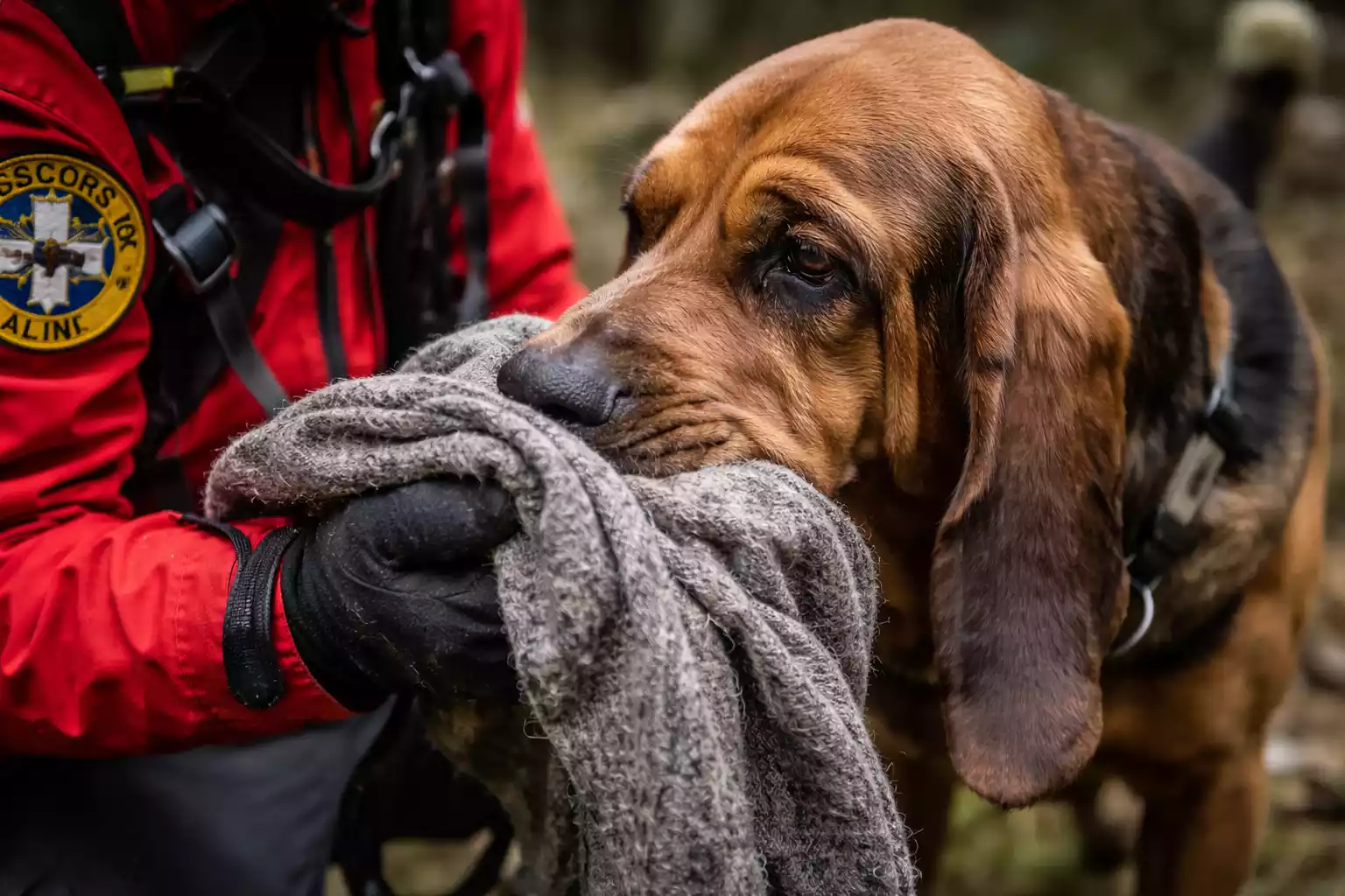 Genova: tentato omicidio in via XII Ottobre