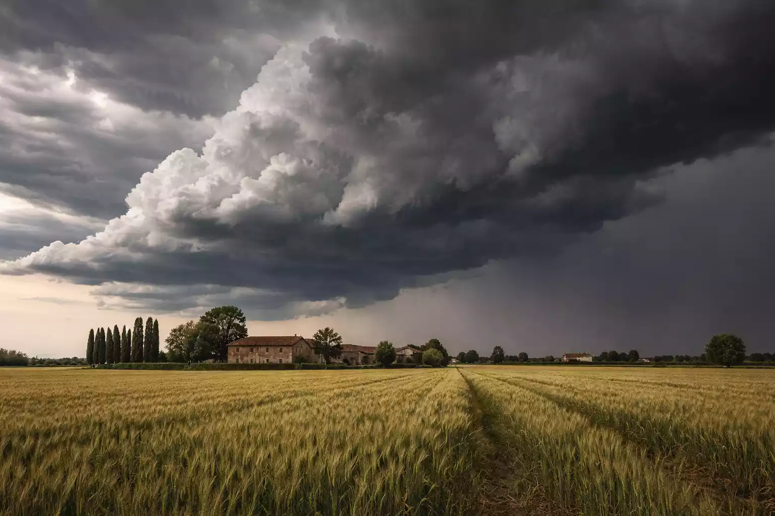 Roma: nasce Fondazione Acea per giovani e innovazione