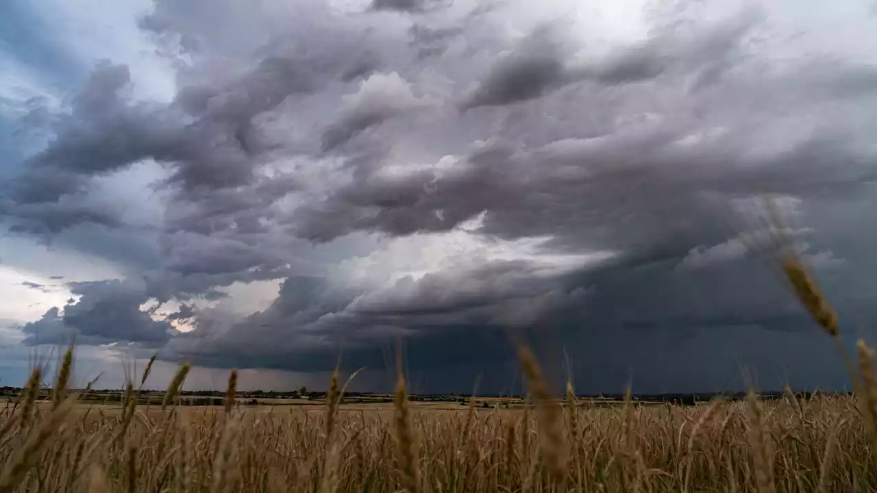 Basilicata: stato di emergenza, 5 milioni per i danni