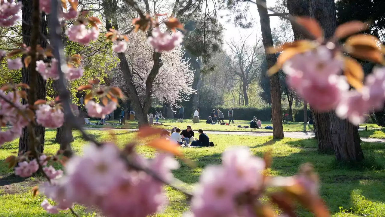 Gorizia: il Parco Basaglia rinasce tra arte e natura