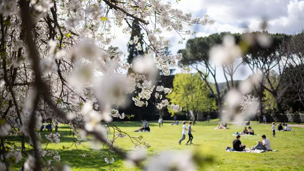 Gorizia: il parco Basaglia e la storia di una bisnonna