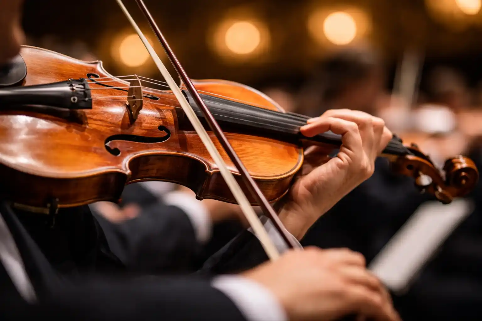 Fiera di Udine: successo per Ceghedaccio, nuova data nel 2026