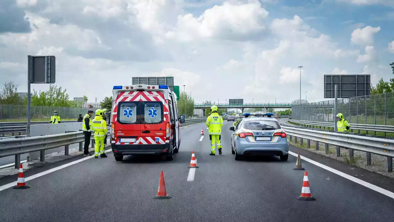 Sicilia: alberi autostradali, scontro tra CAS e ambientalisti