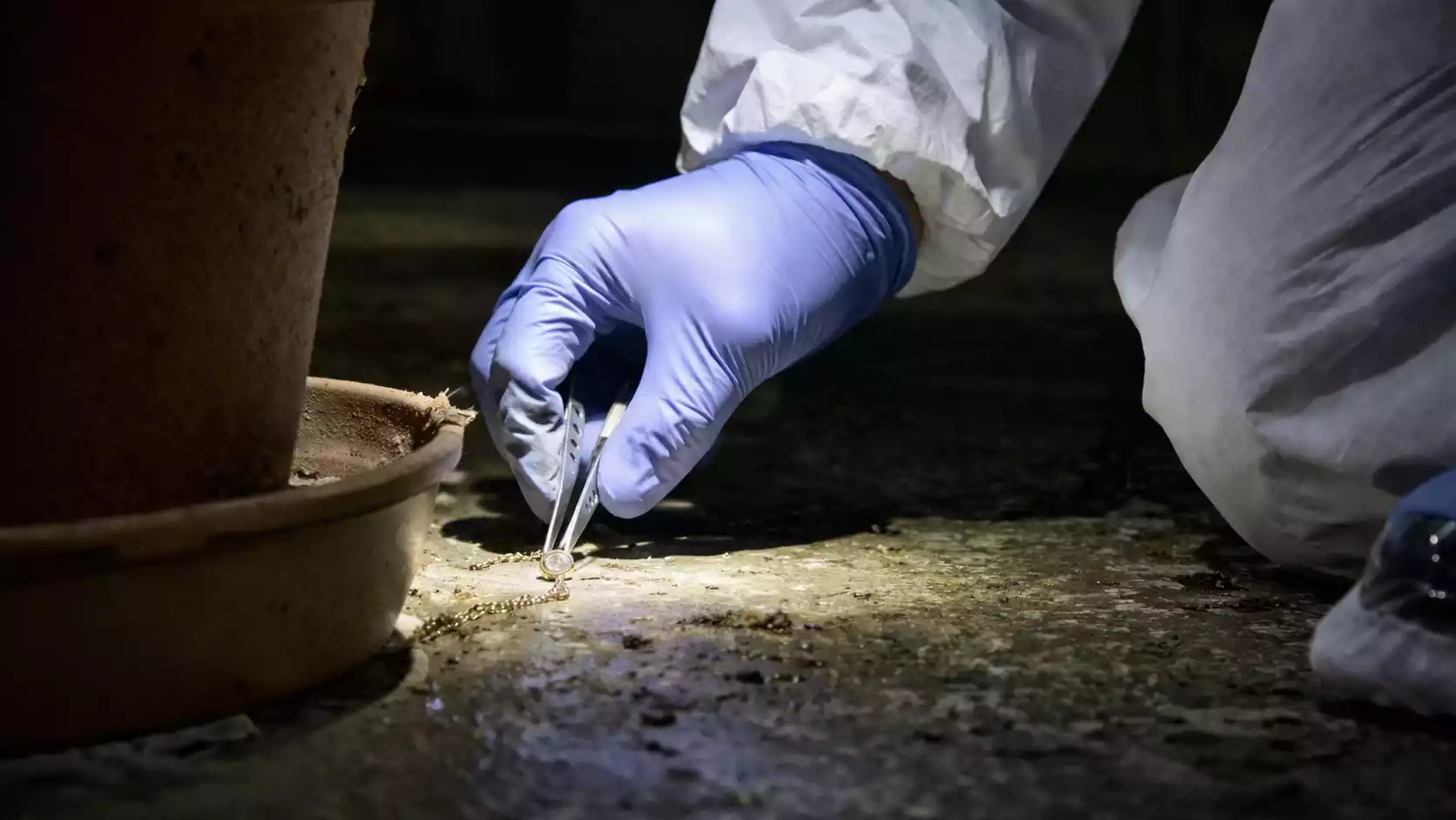 Raccolta alimentare Caritas a Trieste: un aiuto concreto