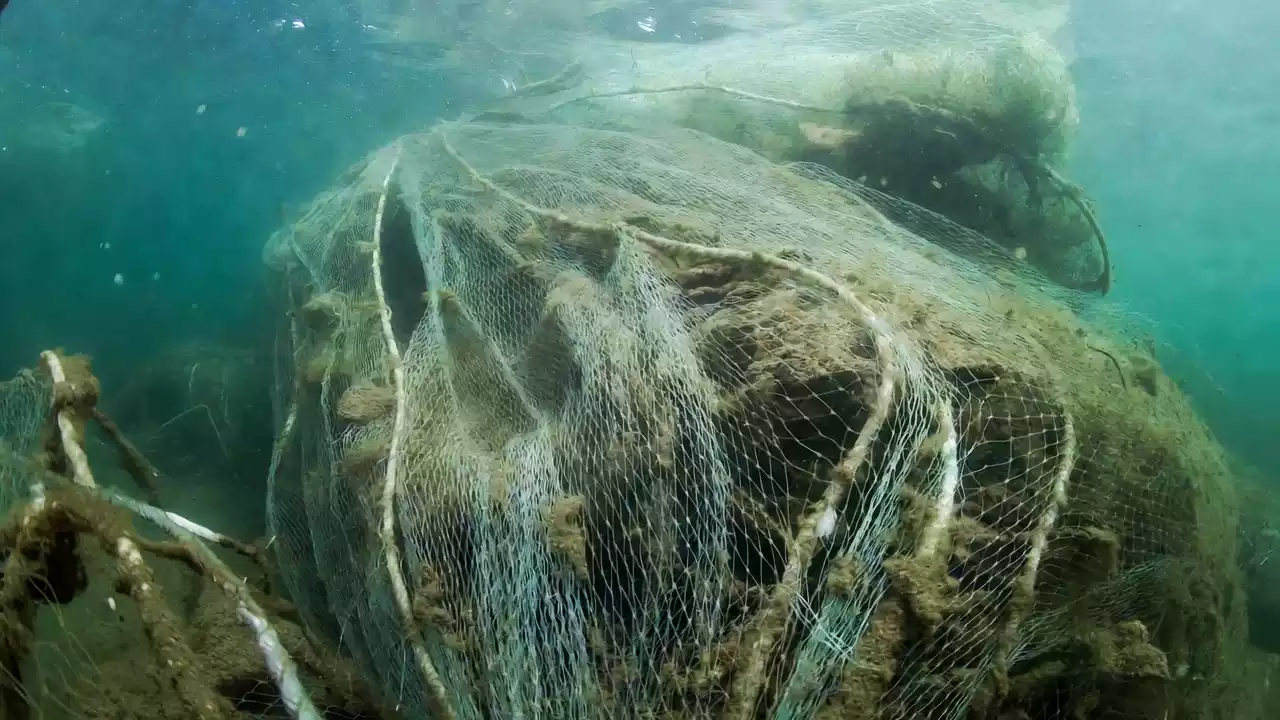 Sirmione: rete fantasma nel lago, l'allerta della Guardia Costiera