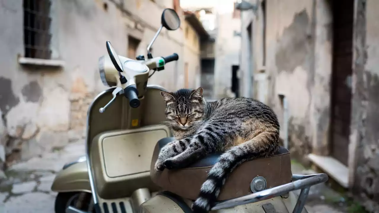 La Vespa: un amore senza tempo per la libertà