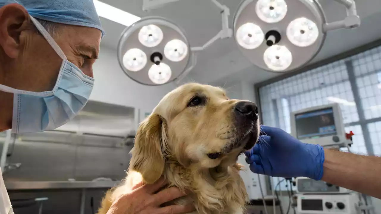 Agrigento: indagato un medico dopo decesso per palloncino gastrico